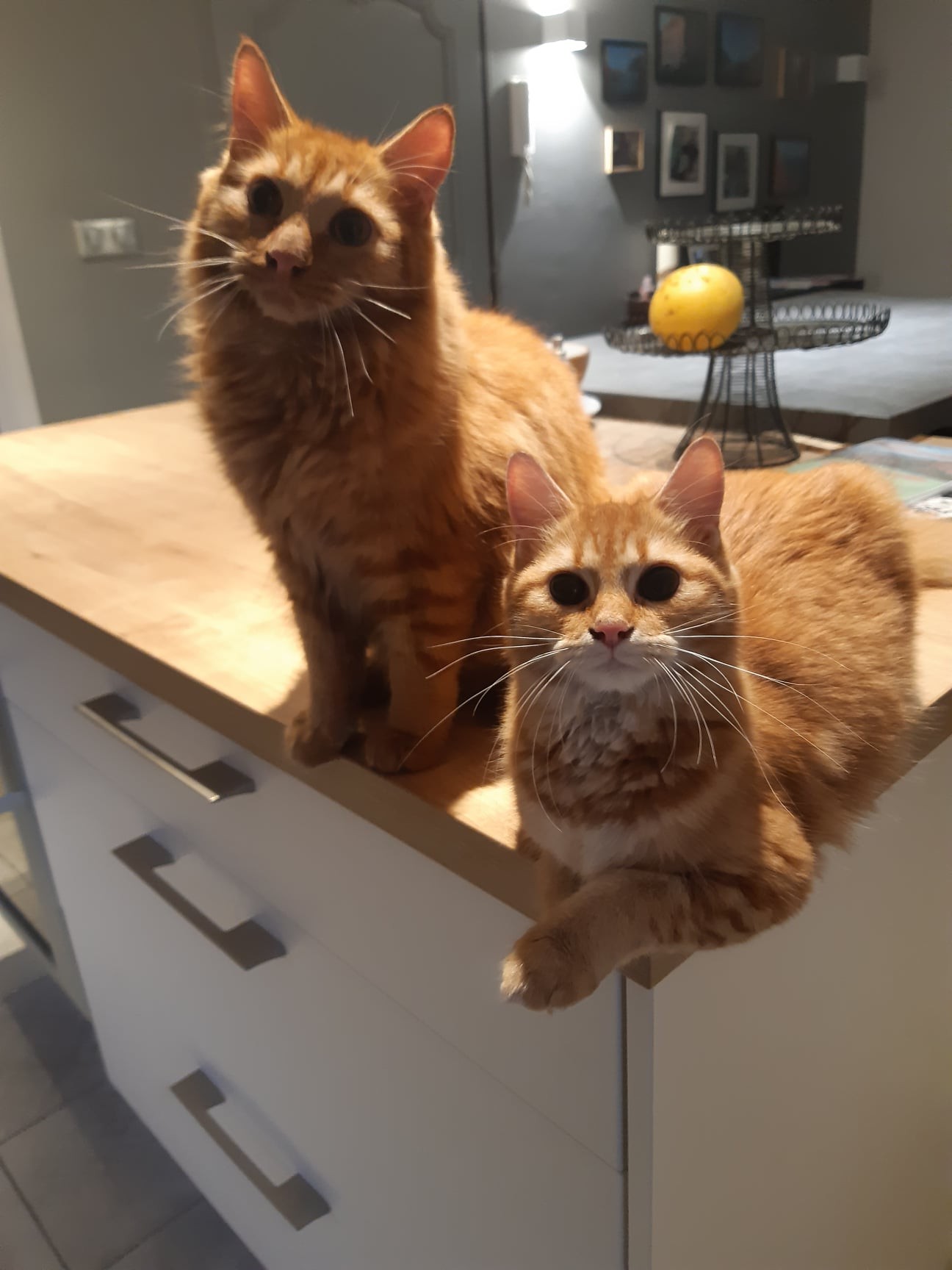 Deux freres