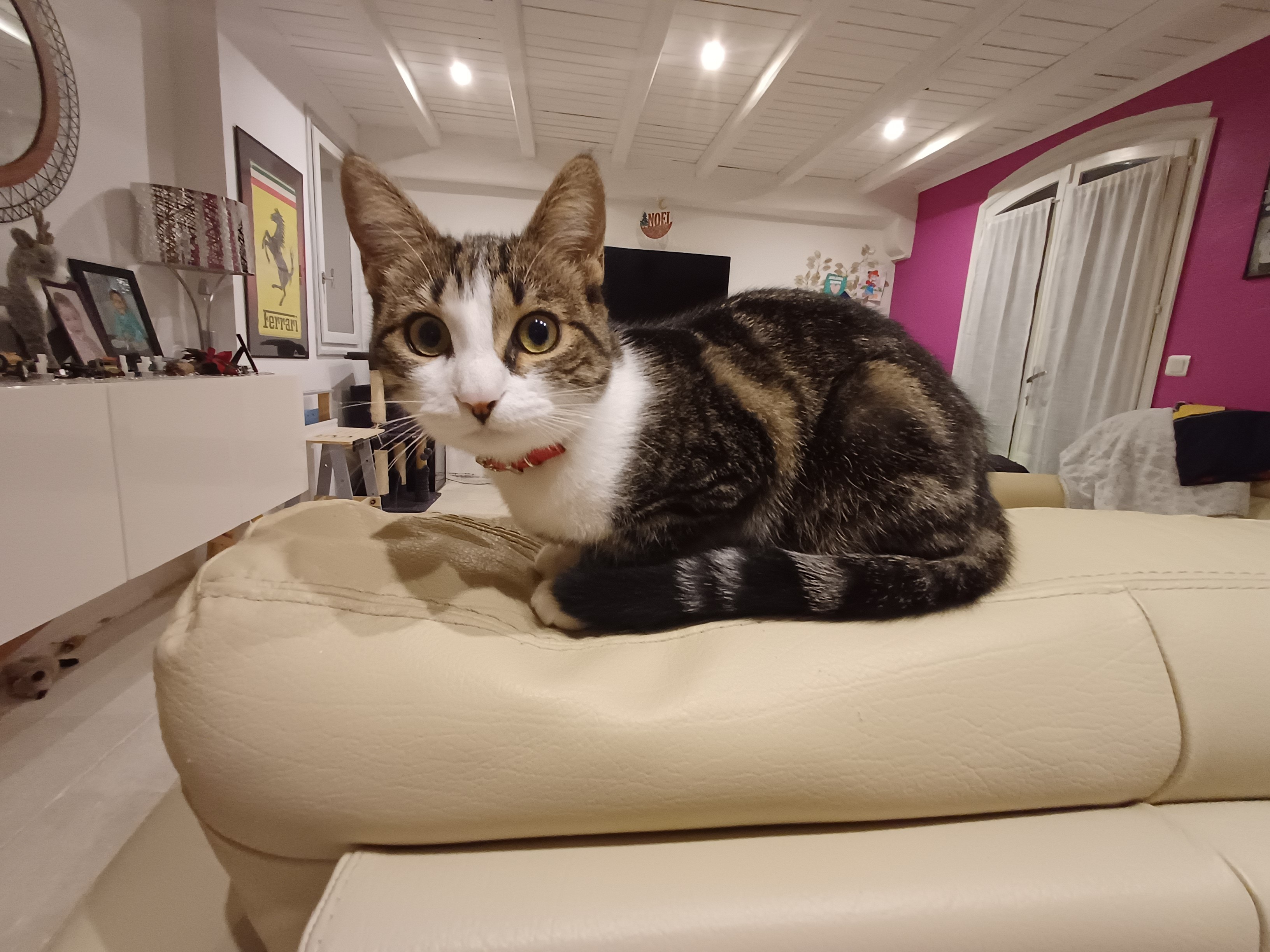 Luna
