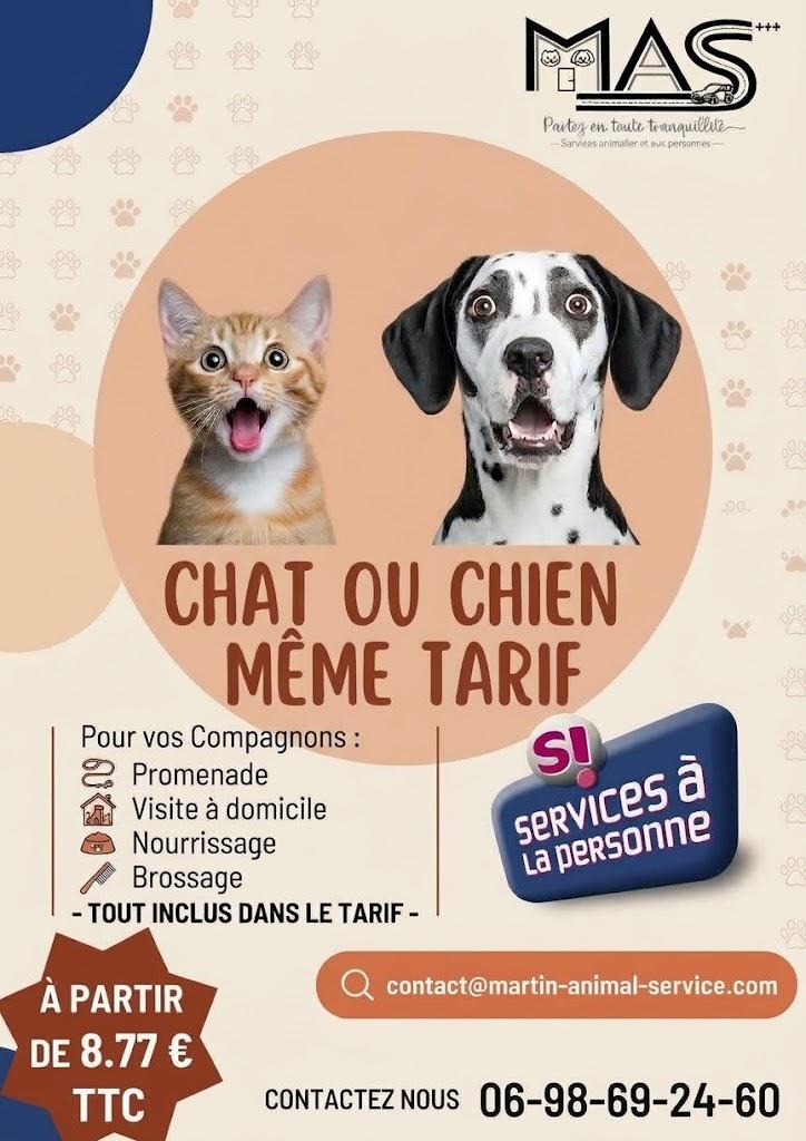 chat ou chien