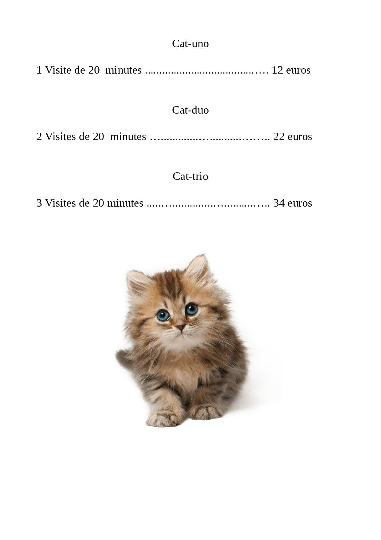 Tarif chat 2025 page 001