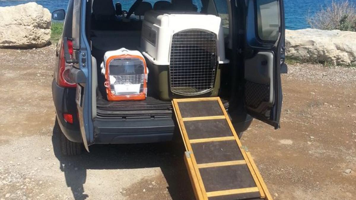 Vehicule de transport